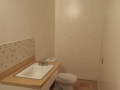 South, Edmonton - Full Basement Bathroom Renovation including moving roughed in plumbing